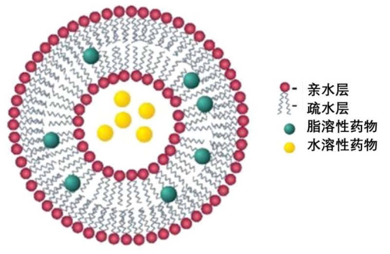 分析方法 | 脂質(zhì)體藥物生物樣品分析的挑戰