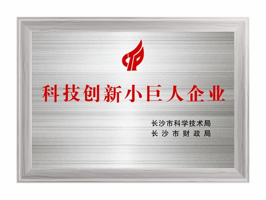 科技創(chuàng  )新小巨人企業(yè)