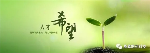 晶易醫藥獲評就業(yè)見(jiàn)習基地與研究生培養創(chuàng  )新基地，構筑人才發(fā)展新臺階